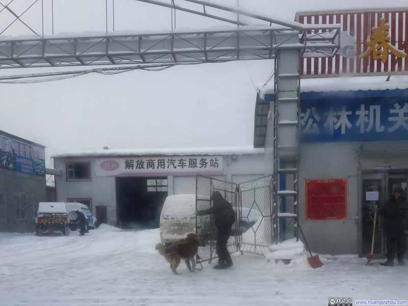 路上看到的一幕：这条狗直接被拴在了汽修厂的门上，好像是主人打算开门了，狗就一路小跑把门给拉开了。小伙伴们都在惊呼东北的狗还有这种功能，司机不以为然地说：估计只是见到主人兴奋罢了