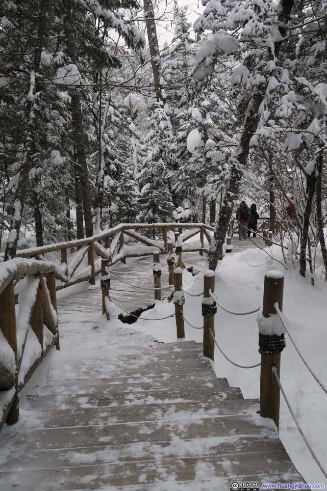 长白山大峡谷，这是景区里面沿着峡谷的路