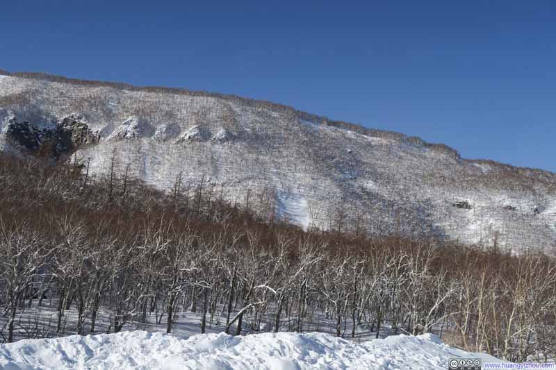 从长白山瀑布停车场拍到的，漫山的枯枝