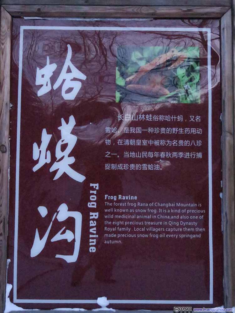 有了前天在松江河旅游购物街的大新闻照这张应该已经不算什么新闻了