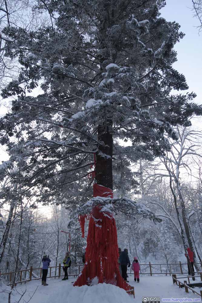 魔界风景区，河边，景区钦点的许愿树
