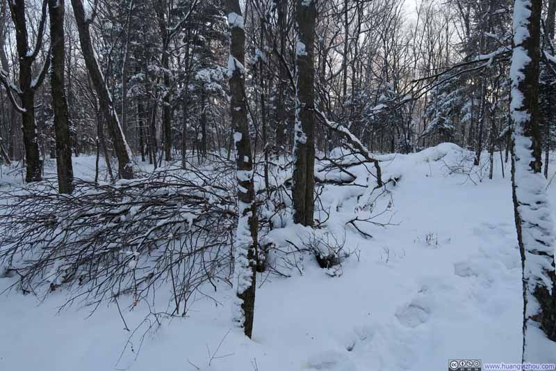 魔界风景区内，雪地里本人创造的足迹