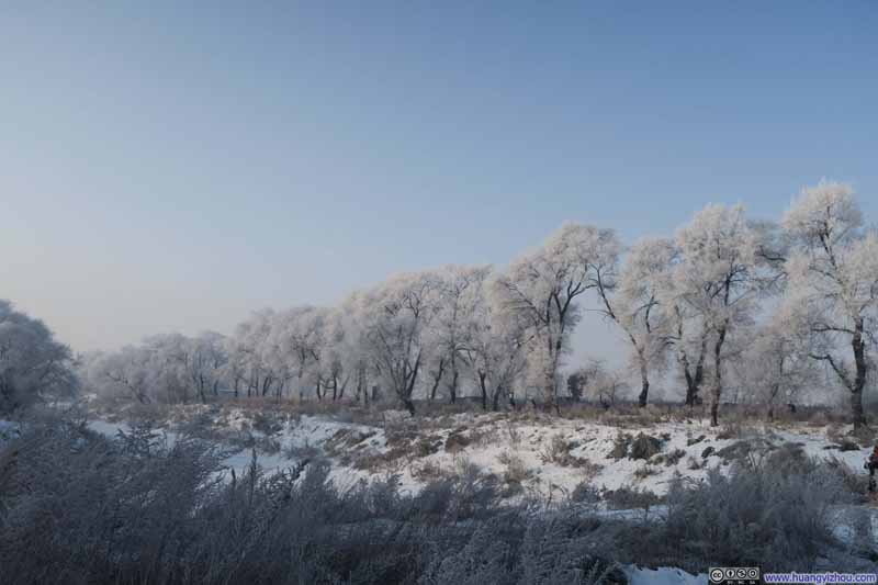 雾凇岛，这时候天空更亮了，雪白的雾凇在阳光下非常好看