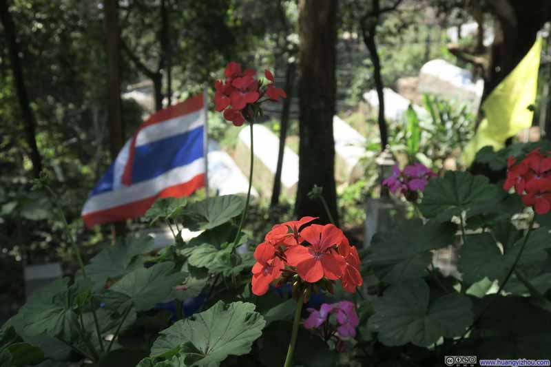 这是普屏皇宫（植物园）了