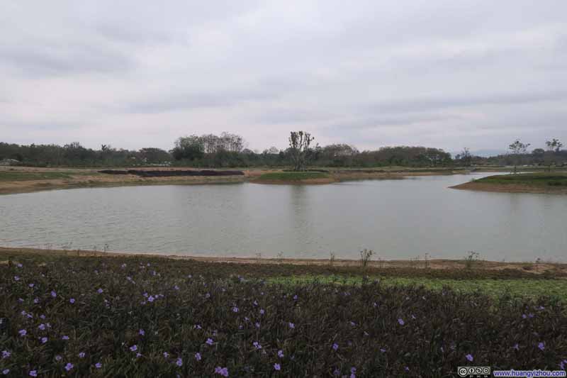 Singha Park，在冬天看也就这么几朵零星的野花了