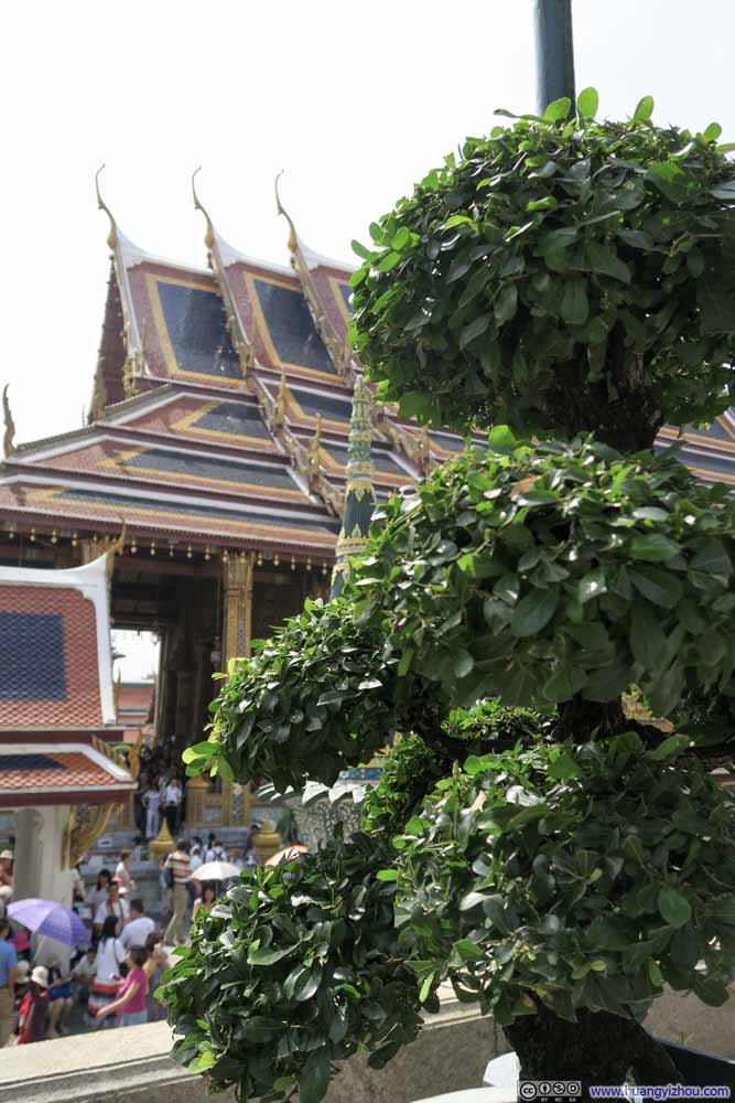 绿叶掩映下的Ubosot and the Emerald Buddha