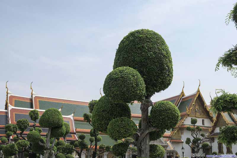 植物的修剪与魔天宫殿群