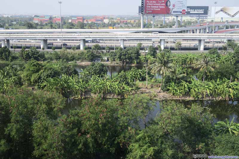 觉得这种椰树遍地的地方可以修湿地公园了