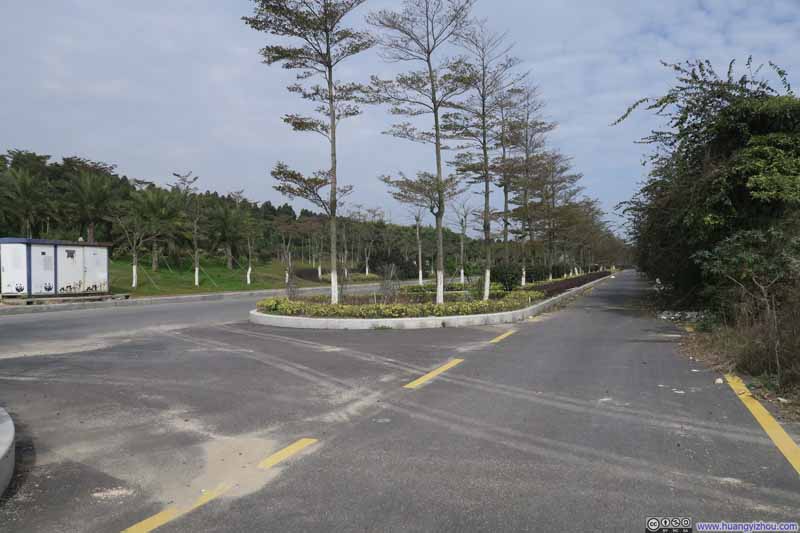这一段环岛路前面断头，所以完全没有车