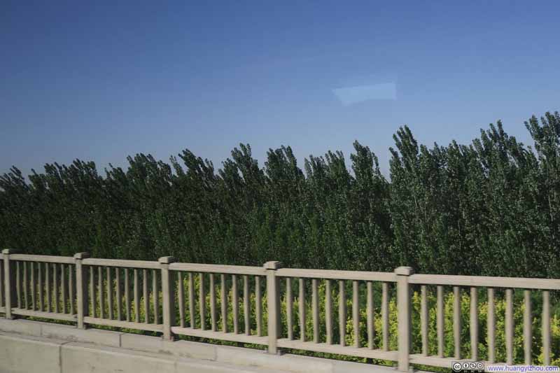 京津城际上的风景，蓝天下绿树丛，颜色非常之纯