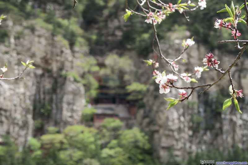 五月春花