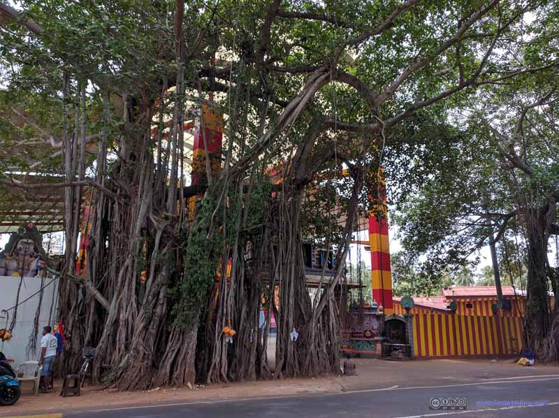 Gate to Murugan Temple
