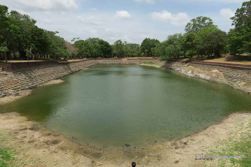 Elephant Pond