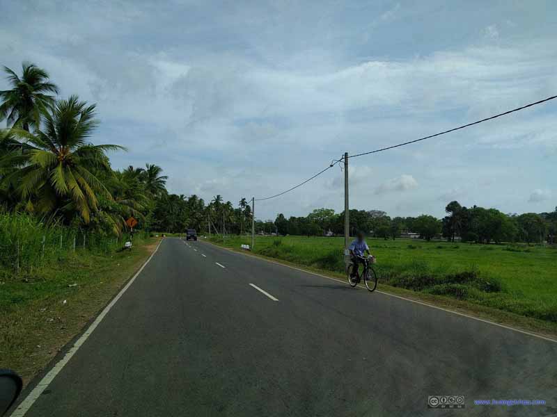 Country Road of Anuradhapura