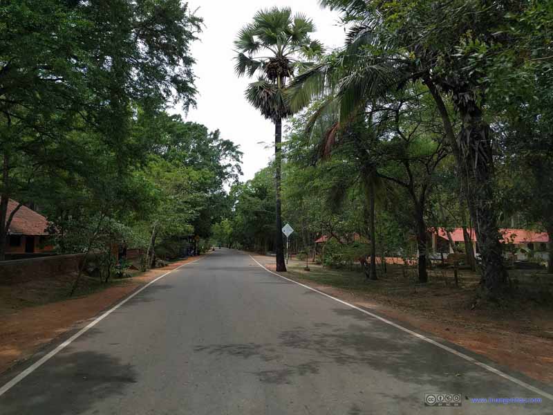 Country Road in Anuradhapura
