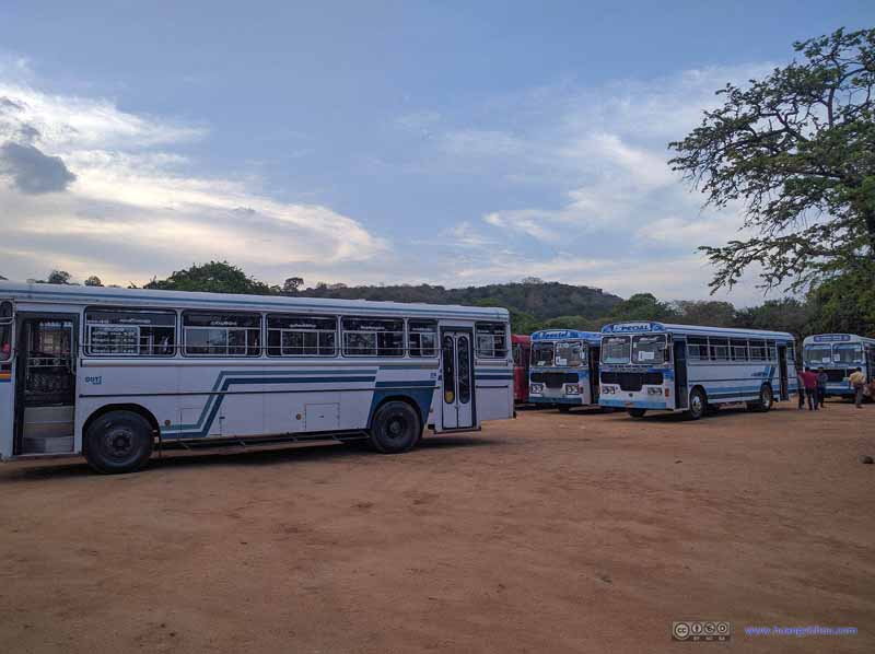 Buses Carrying School Children