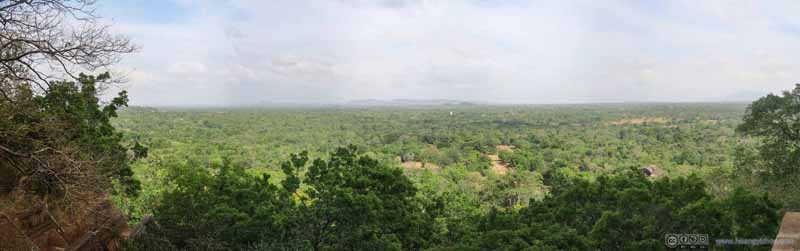 Fields Surrounding Sigiriya