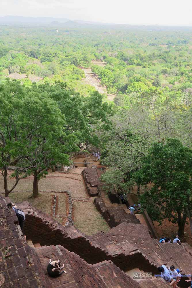 Stairs up Sigiriya