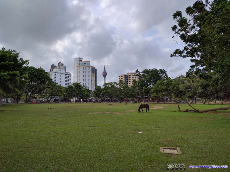 Meadow against Colombo Skyline