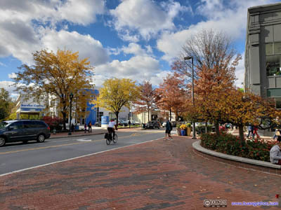 Autumn Colors in Downtown Bethesda