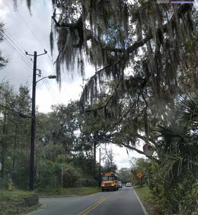 Roads in Savannah Suburb