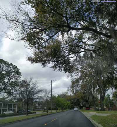 Roads in Savannah Suburb
