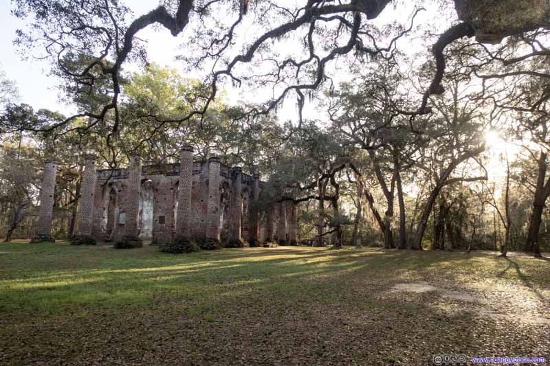 Church Remains under Oak Trees