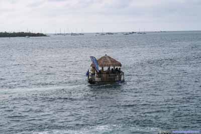 Tiki Boat