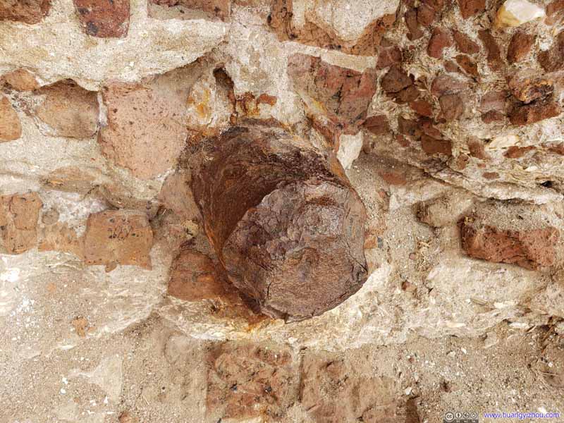 Shell Embedded in Wall