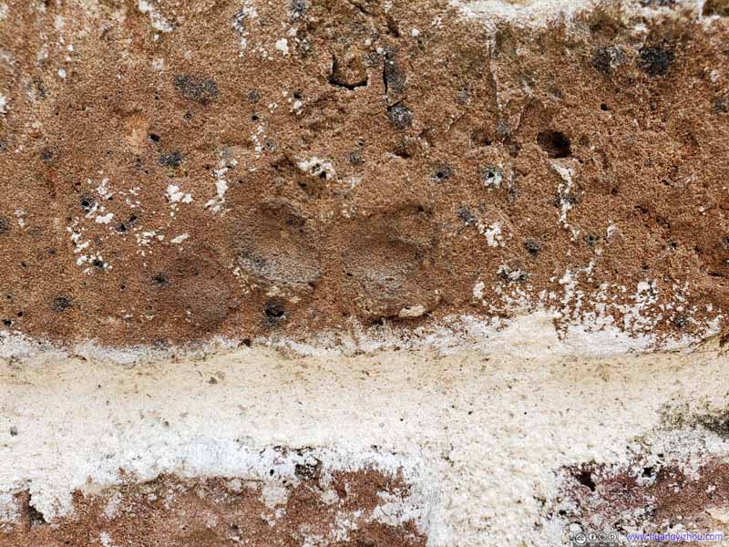 Children's Fingerprints on Bricks