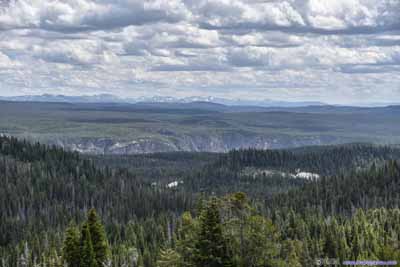 Distant Yellowstone Canyon