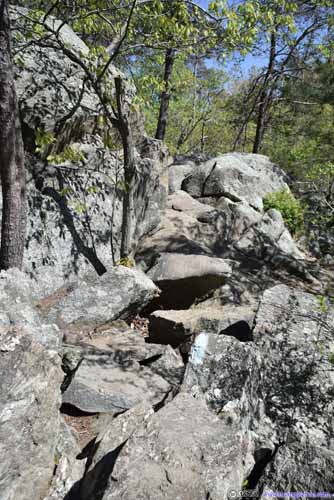Trail on Rocks