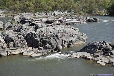 Rocks in Potomac River