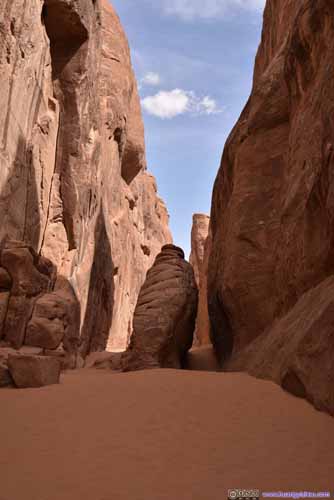 Trail to Sand Dune Arch