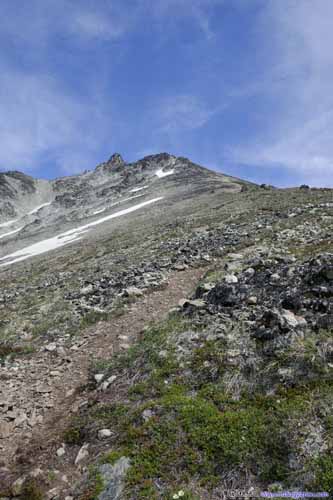 Trail up Matanuska Peak