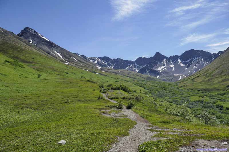 Trail to Matanuska Peak