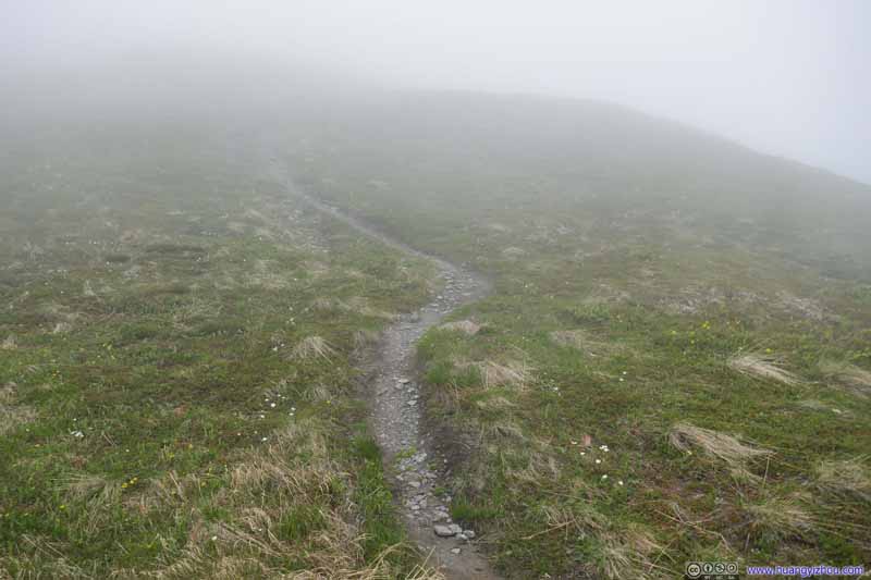 Trail in Mist