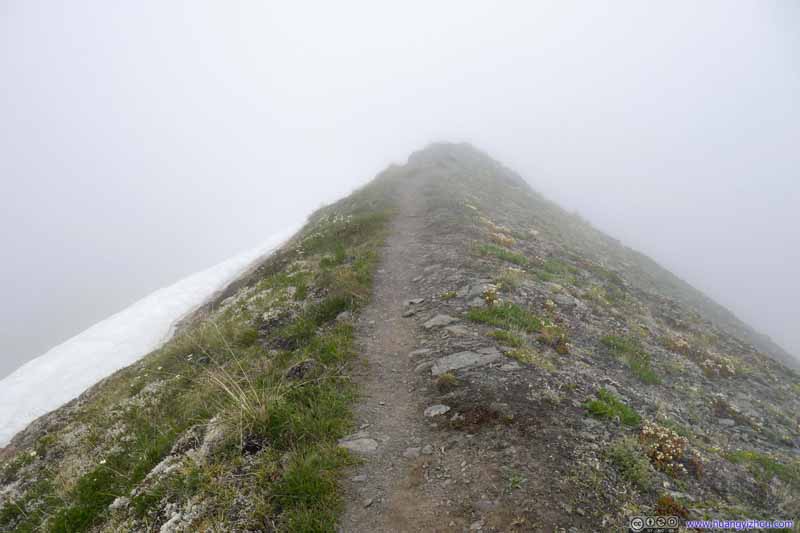 Trail in Mist