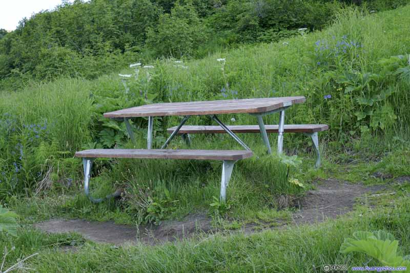 First Picnic Table