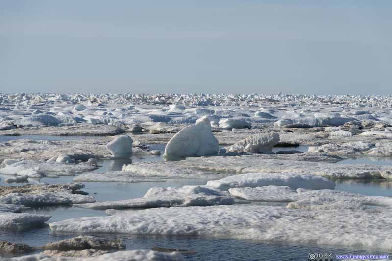 Arctic Sea Ice