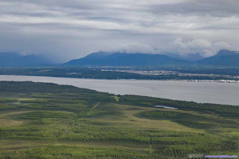 Wetland across Anchorage