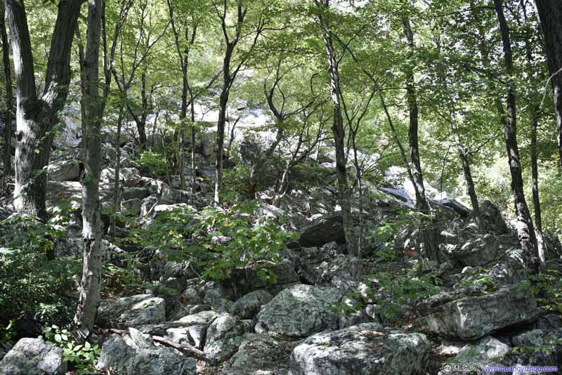 Rocks next to Trail