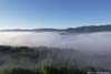 Mist over Wytheville