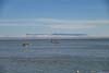 Boats in Monterey Bay