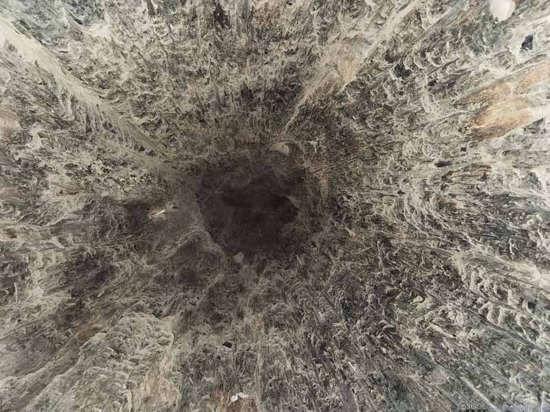 Interior of Redwood Tree Trunk