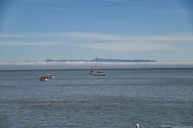 Boats in Monterey Bay