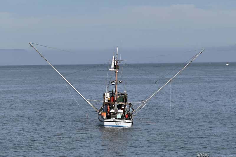 Fishing Boat