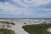 Asilomar State Beach