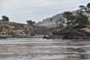 Coal Chute Point across Whalers Cove