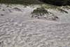 Pink Sand at Pfeiffer Beach